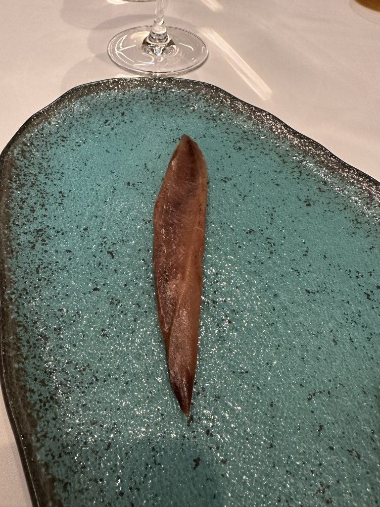 Anchoa por José Cotino Escrivá