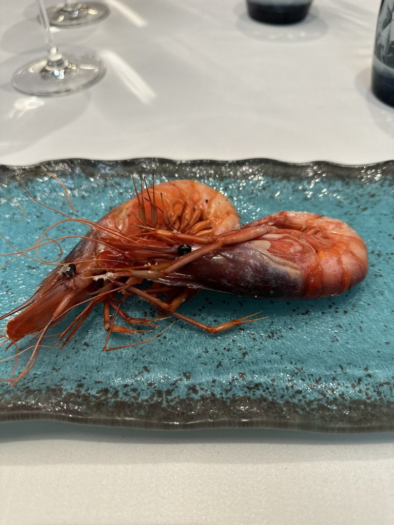 Gamba por Jose Cotino